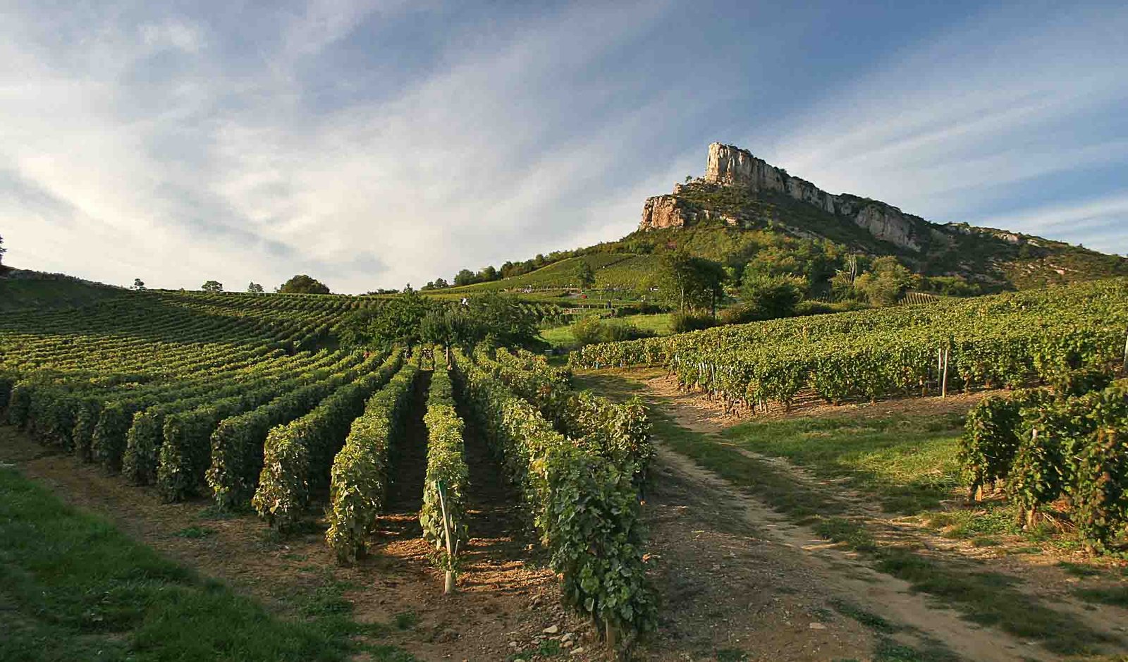 La Roche de Solutré dominant les vignes du Mâconnais au coucher du soleil